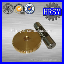 Brass worm gear and stainless steel worm shaft